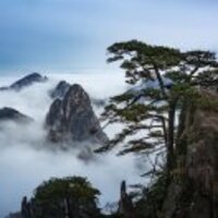 Ec0f8d5e8ba7bcd65c07039c04514d9e06806b8e