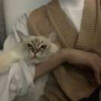 0c7e67aeebcd12adb28f7e5537e9151aa1fb6ea0