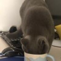 5aab30770cc91414d61929737212b2919ffb7c5e