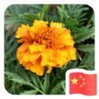 8ec9b98f9cf574b75763767b5c7d652fca4afd05