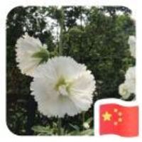 E7d4672c4106b3ab4776e5f8cf66182d84967622