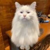 2b88324097230b84d5cd0c925421c2ff564aac16