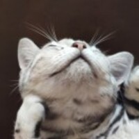 097011b6dcd4394596fcb35da0dd08de158fbfc5