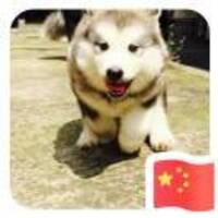 E8c50086f1e41ab2ce23d0dc1934fc2bbe57db78