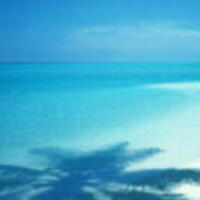 Bbd058d6bc3cc13818ca022d3fe2155c0905a9a2