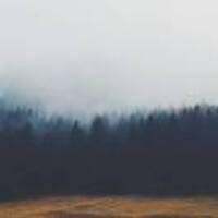 370f20025ee24d03213d5a3e4710c78ea8e5e917