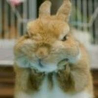 E592c5f3c30b2d439430b0c5435356c1e8f4ec34