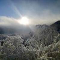 F26c83d274060806c23d3ef7ed9cd011b07def71