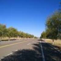 804d7a440b492d2763493ad2259d105265bba019