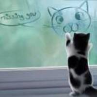 3a7eab3b9f8845a99f8f5895984a8a6c12d598f8