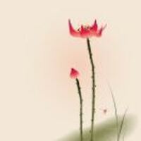 Fcde300e5428493ae33170aa602cedd800e9968d