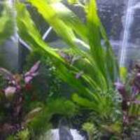 A14a8efd8e30d49920be67ddee9bd90351b029c2