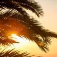 F11645568d753e54b9da664e53eb3242b111c8f4