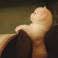 7cfa6bbb859ee1260ac564bf1c40e17324a06955