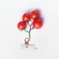 C7cf826f54ad09075bb25b28e7ae28a989d433dd