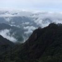 F2b5a12f67e520815eff7b691d16389946e3b28f