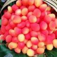 A43c0c27eb6103112dbf7b436fb448b0886bd294