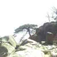 7d61bea41387639b855a4521a097d718569b7645