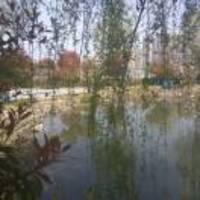 11f09cdad2e8e3de7535387755c045196c0747a0