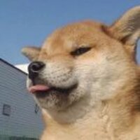 F2cdda68ad068c506d23122a3af03eed67570763