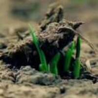 A5667a8a5d6faecc482a31b60f0f9e43bdb2a071