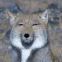 C2a8f69ecc05329fa3235f41596e8eb186f4e9d3