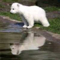 714f4a7e715cf99b5d2a86301588f6f9c2ed0662