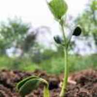 1dda3cc7aec28ab5a366308c7bbc6aa29da1d19f