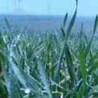 Ef6311187157397c91ed4e8cab3a19fae6390df2