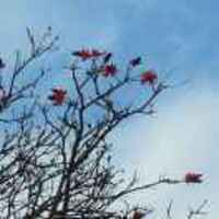 00d126c4fb7e27bbc8ed405cdde22a83d2cc1190