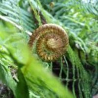 256854ea5649aad4128b16178d5b0eff57638072