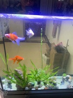 12b808a361a1e5aa8eca5d58dbe9a65056f7dd8b