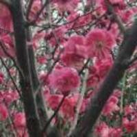 3f2c64a0d607ddccf80508283691329333a06646