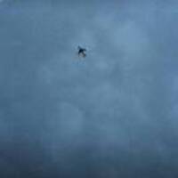 A47e708f9429962f5d027843b8585bb65e91cf70