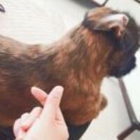 9a8908f24d460aa53cae498fdc805353e7207d4e