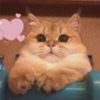 3acdc4264ec0b539fc3bded0e1d0704de4d5e07d