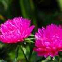 924fca5045378eb5997dfce42d1cd26e7e24d71a