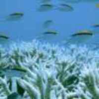 330d2c9ca341b40870c04891e0246bf92a71b7d7