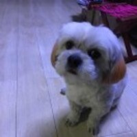 E87034f41b9aad1c719b37fdc5ffb4648ce405b9