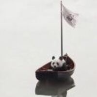 800508d1c915336b4f39525022deb8898c8ceb58