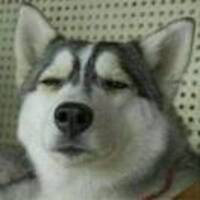 49f3fe75974b0191417e2ed34cdfc6b3651f4169