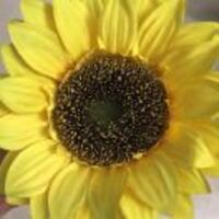 194cc37f0d48a9fef3ea29b032e8823a2179b6c0