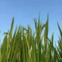 A073ba8bf34a31efac598d41af028e7c131e62e9