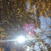 Fd8564dbedbf6976adcac352f49e5158c43ae2dd