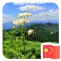 2a888dde95a1b90d96467c31ef3b7a981df4a1ba