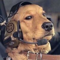 2f7c99cb5a6163cea8b4d2b6825218ed52cf788d