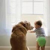 1de54746f21c5b6d1b323b4c6586663fc140d79c