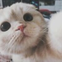 8537a7a0e342087d308109478d22df98af36d7f1