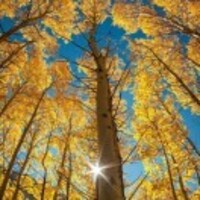 885b76ae9076a97a87df50d4331de9742aba3e4f