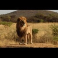 Fadf066b69b4ae2fba00ac531e5d53c13c1c2c43